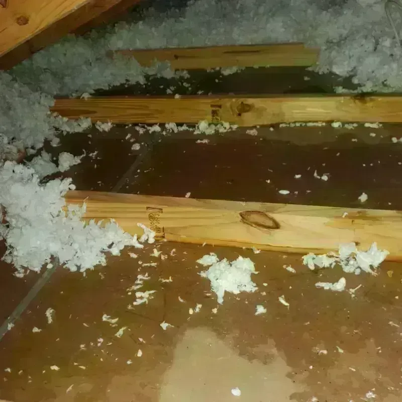 Attic Water Damage in Kosciusko, MS