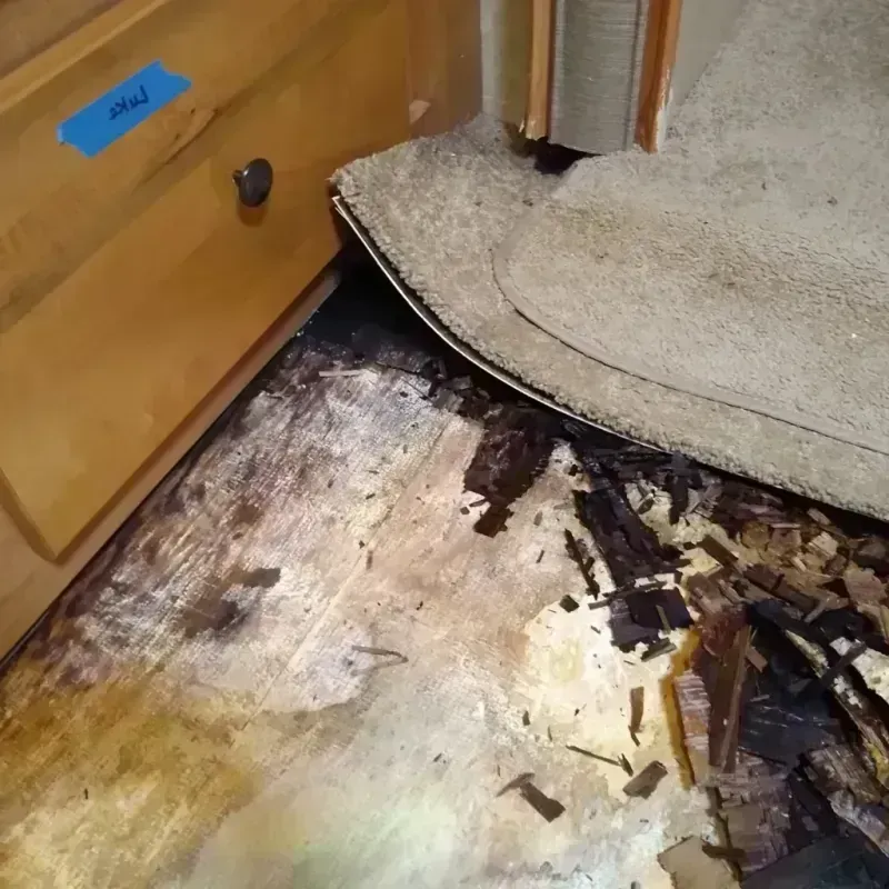 Best Wood Floor Water Damage Service in Kosciusko, MS